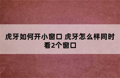 虎牙如何开小窗口 虎牙怎么样同时看2个窗口